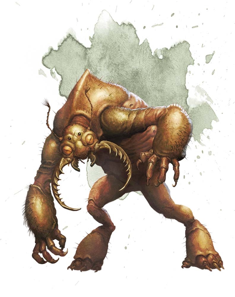 A hulking beast with a posture bent forward aggressively, this creature is an amalgamation of ape-like muscle and insectoid features. Its large, rounded body is a reddish-brown color, covered in bristly hair, and its arms are disproportionately long with vicious claws. A distinctive feature is its face, which instead of eyes, has a cluster of dark orbs, and a pair of large, curved mandibles framing a gaping maw. The creature's stance is primal and threatening, as if it's about to charge or has just spotted prey. The backdrop is minimal, with a wash of grey that serves to highlight the figure without providing a specific setting.